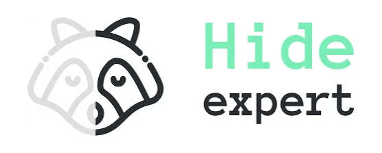 Hide Expert VPN logo