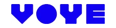 Voye Global logo